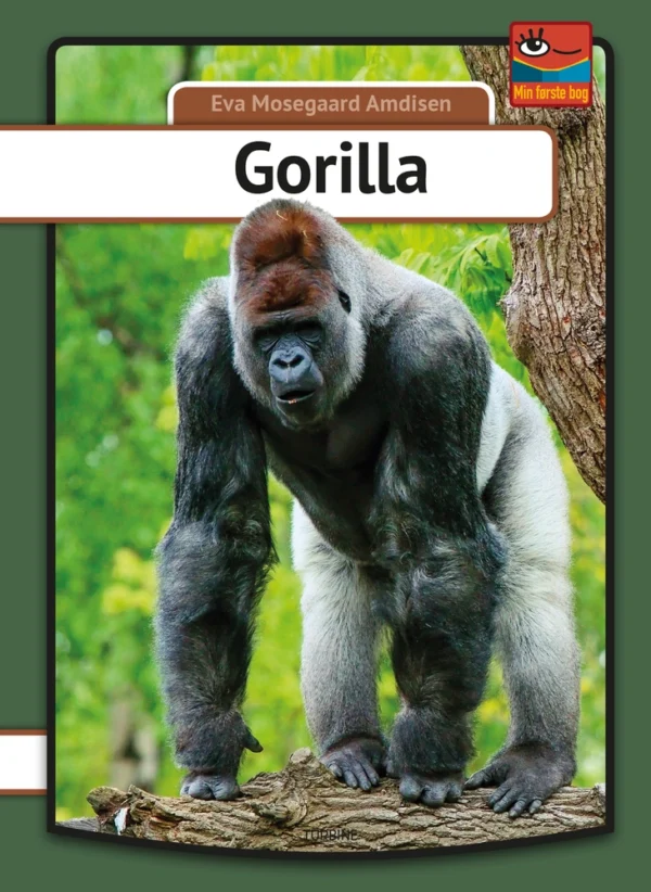 Gorilla