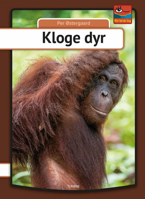 Kloge dyr