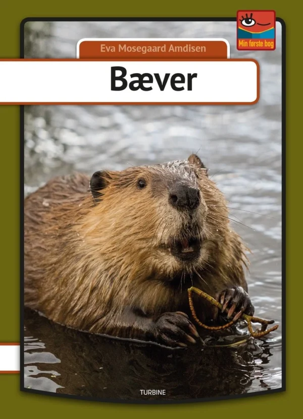 Bæver