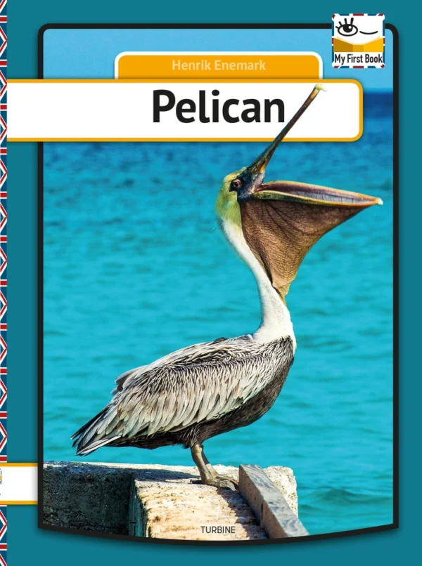 Pelican