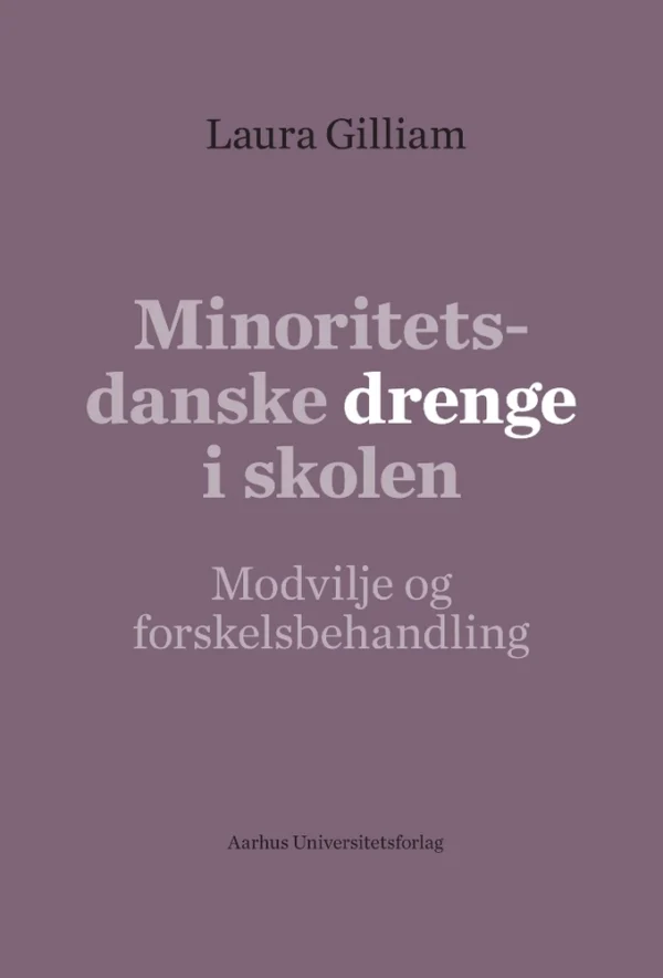 Minoritetsdanske drenge i skolen