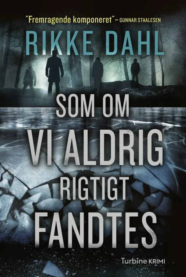 Som om vi aldrig rigtigt fandtes