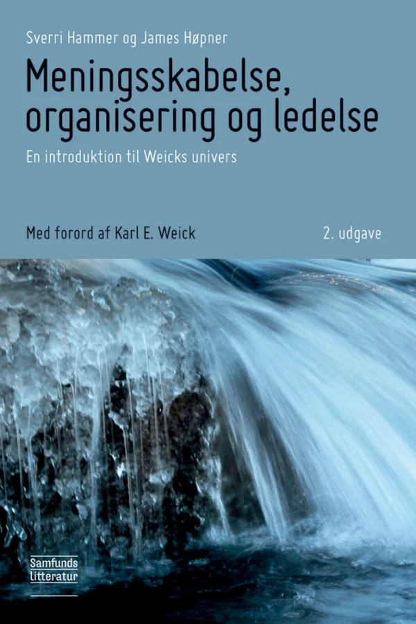 Meningsskabelse, organisering og ledelse