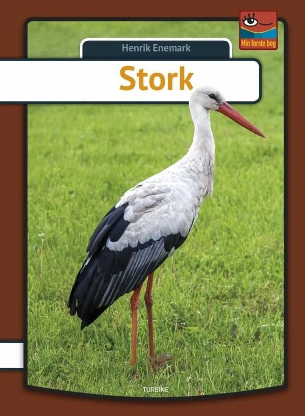 Stork