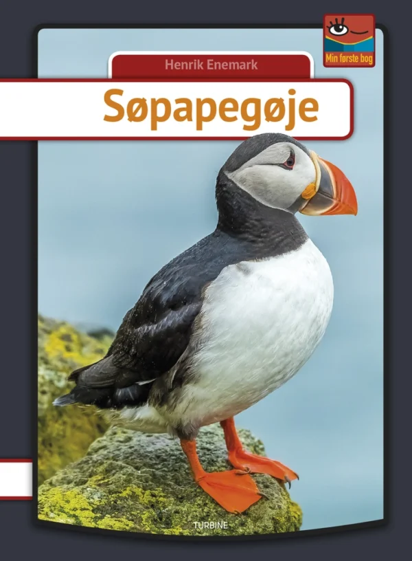 Søpapegøje