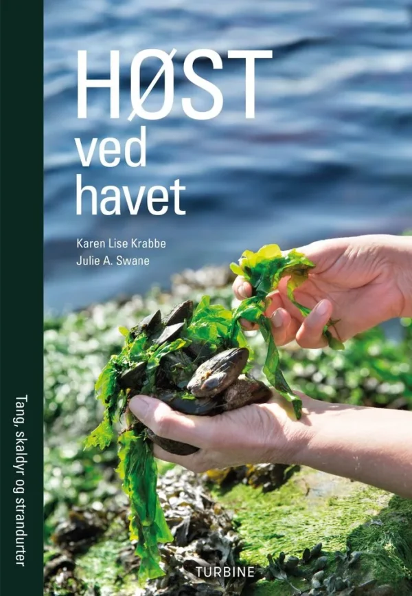 Høst ved havet