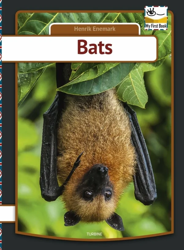 Bats