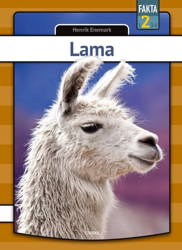 Lama