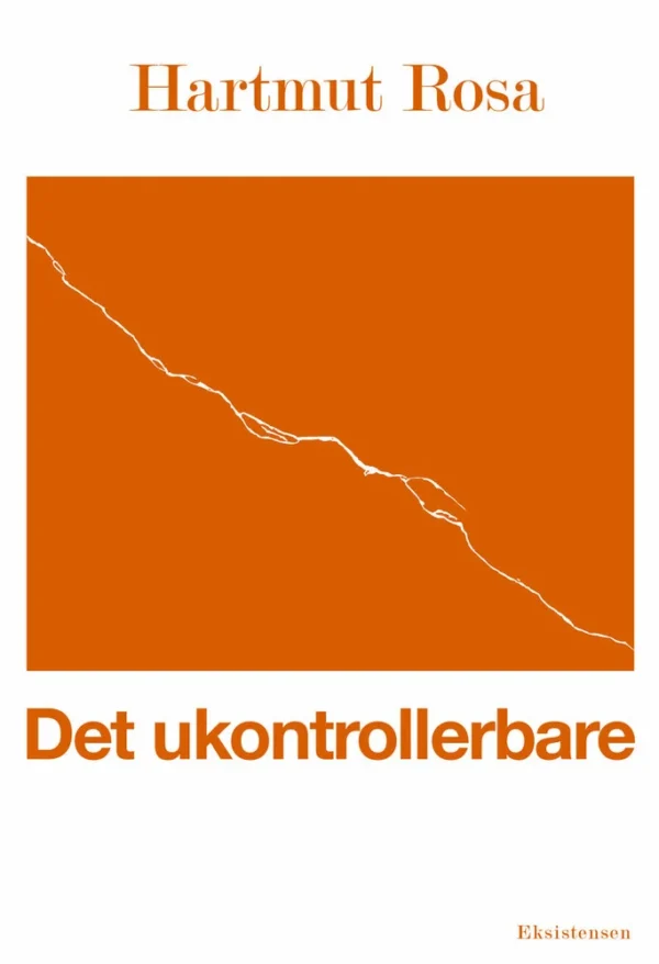 Det ukontrollerbare