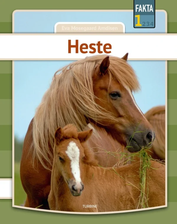 Heste