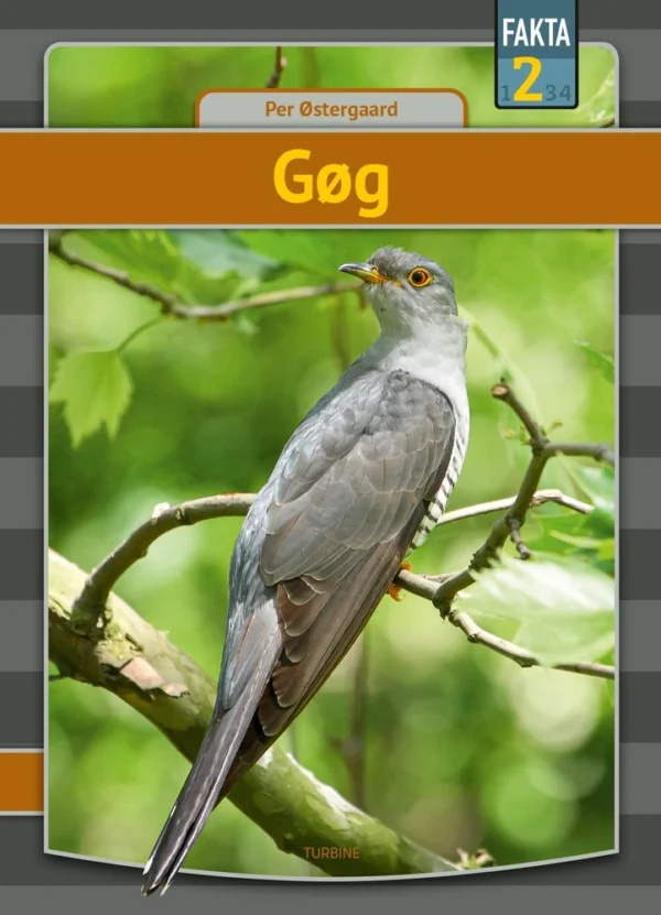 Gøg