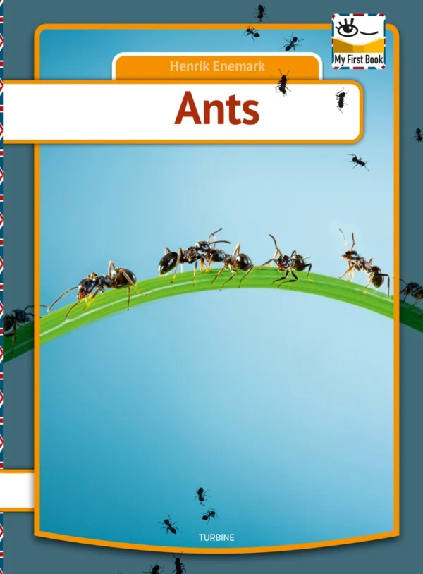 Ants