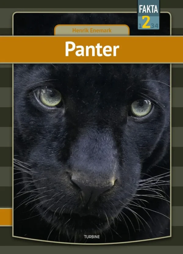 Panter