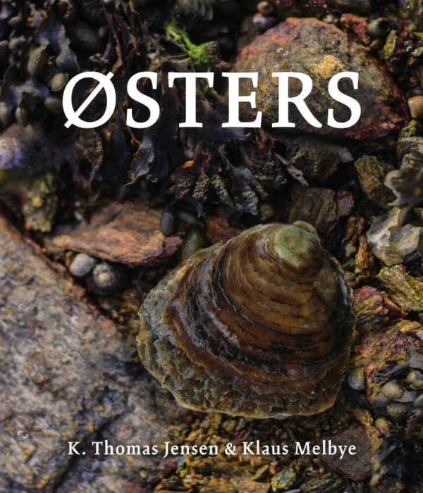 Østers