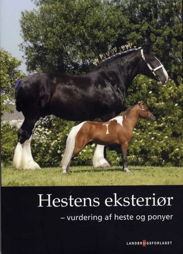 Hestens eksteriør