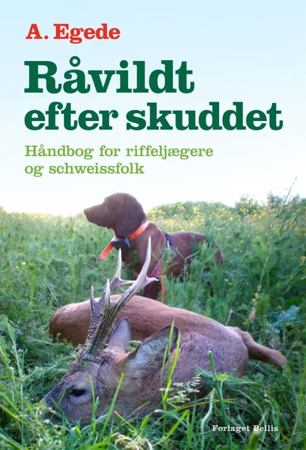 Råvildt efter skuddet