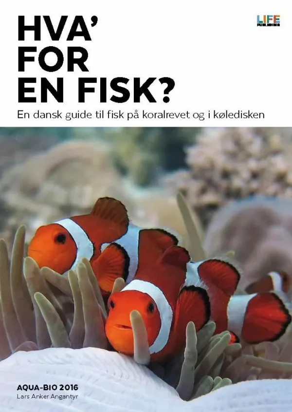 Hva' for en fisk?