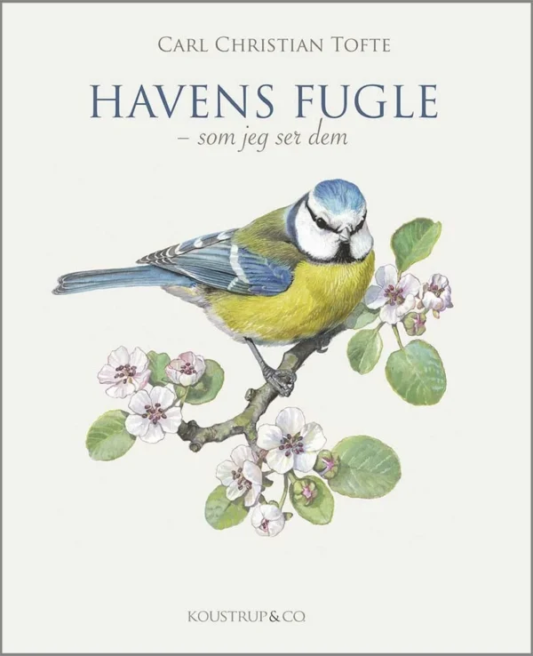 HAVENS FUGLE