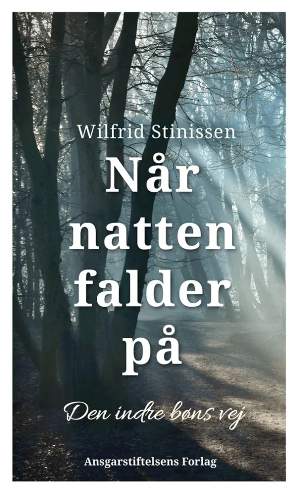 Når natten falder på