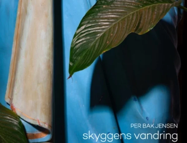 Skyggens vandring