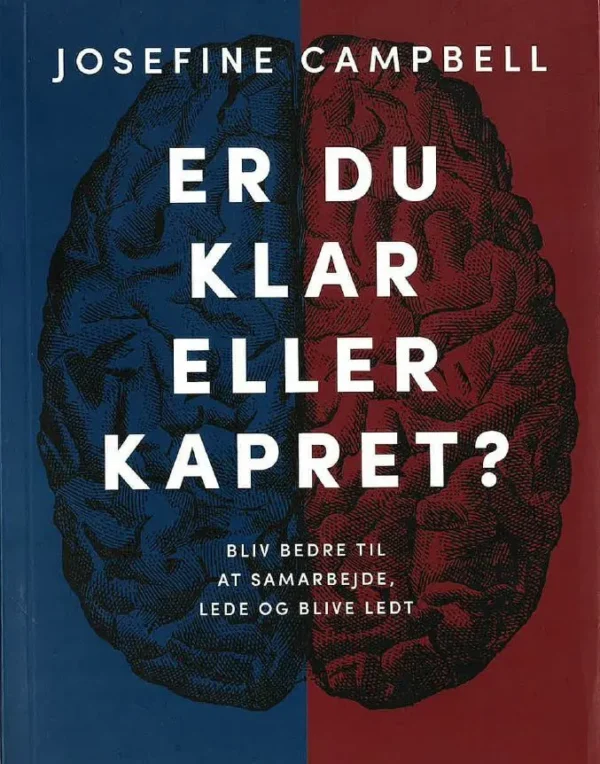 Er du klar eller kapret? Bliv bedre til at samarbejde lede og blive ledt