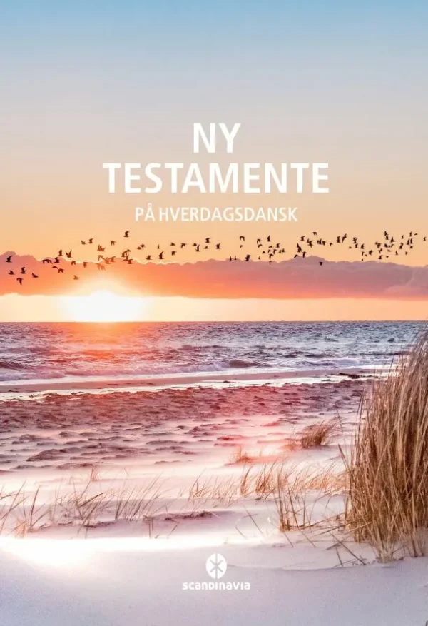 Ny Testamente - på hverdagsdansk, strand.