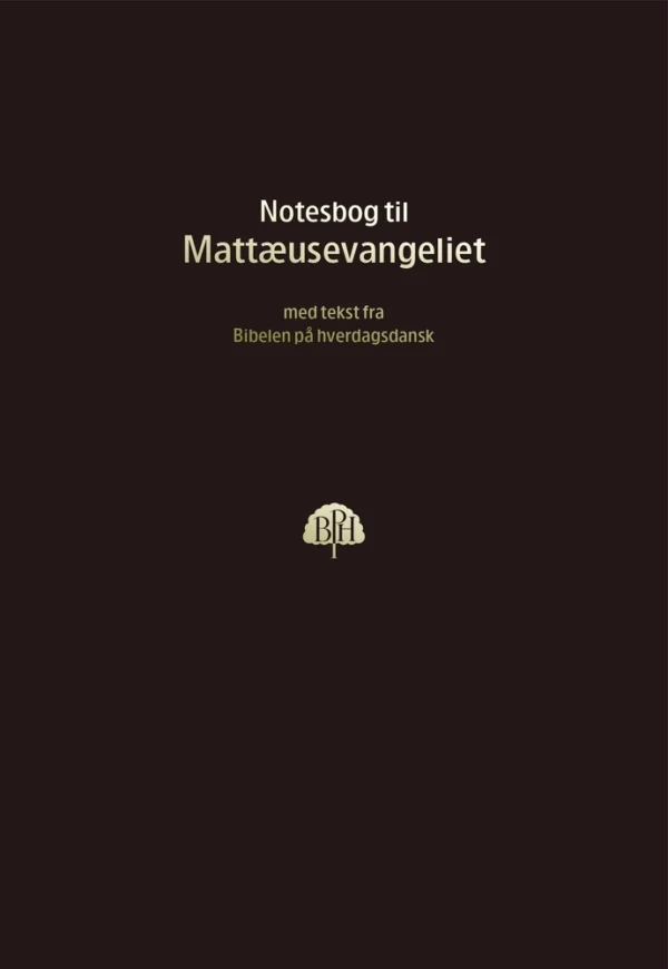 Bibelnotesbog 1, Matthæusevangeliet