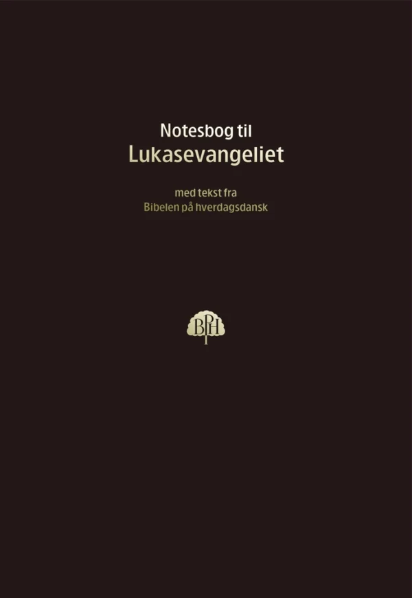 Bibelnotesbog 3, Lukasevangeliet