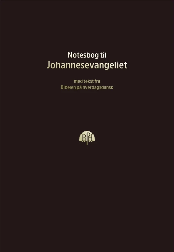 Bibelnotesbog 4, Johannesevangeliet