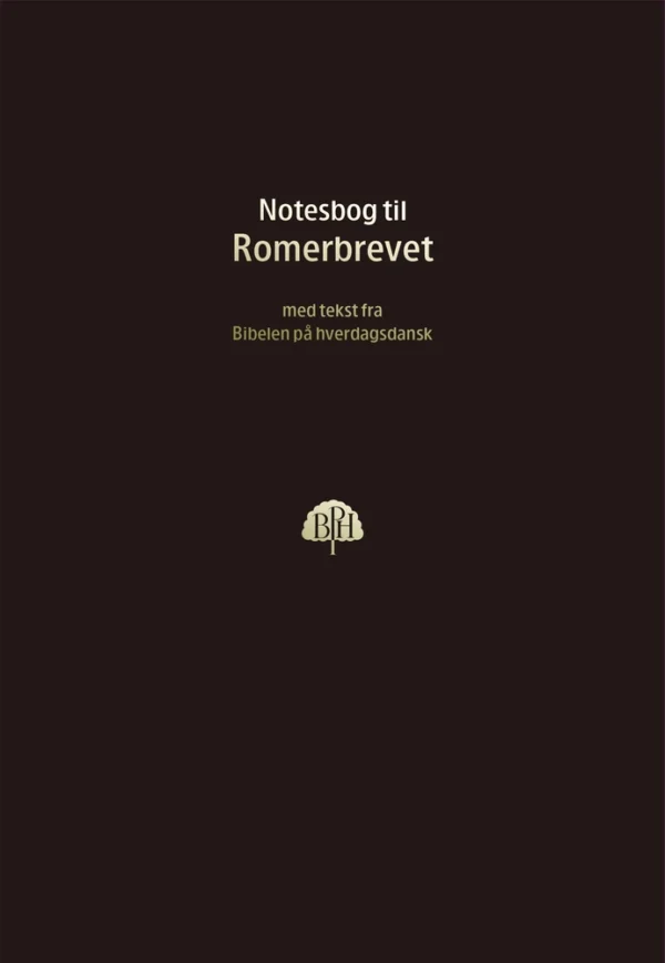 Bibelnotesbog 6, Romerbrevet