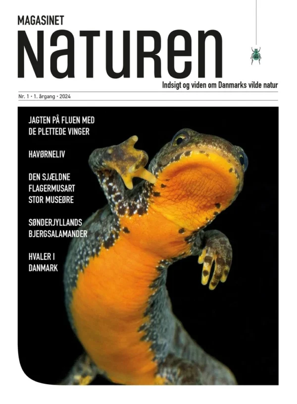 Magasinet Naturen Nr. 1 - 2024